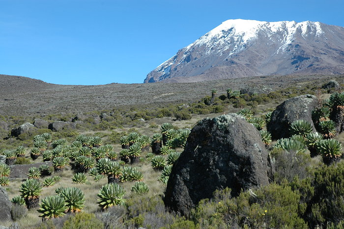 09.05.2006 kili