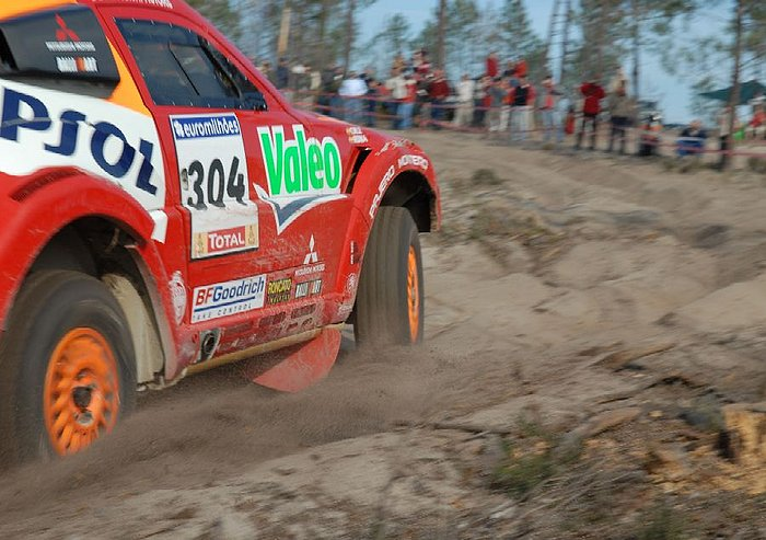 06.01.2007 Mitsubishi <br><i>foto Darij N.</i>