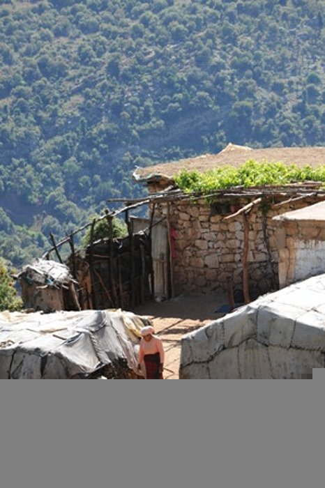 17.05.2009 koca