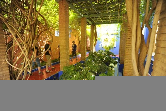 17.05.2009 vrtovi