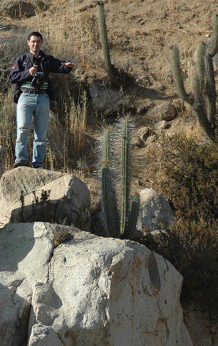 12.01.2009 David in kaktusi